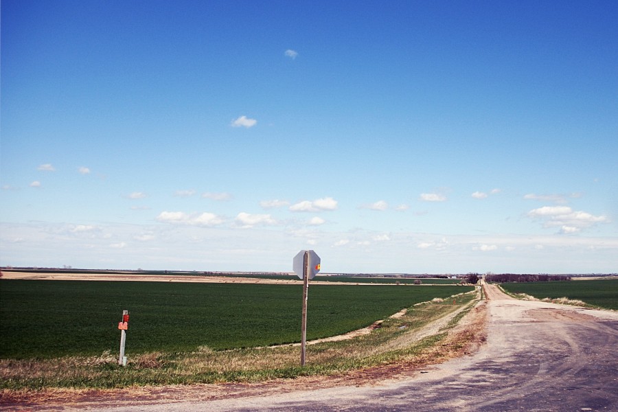 dirt road with stop sign and farmland in the background.