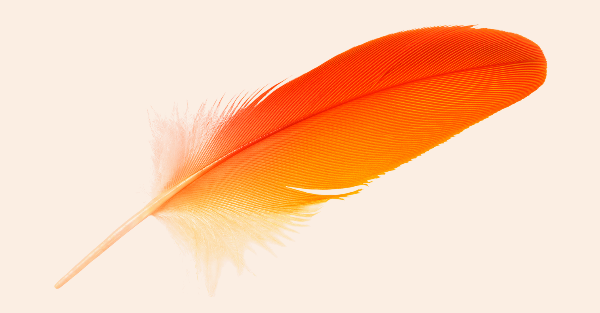Accessia Health Orange Feather
