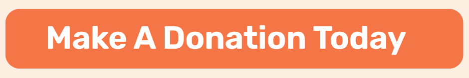 Make A Donation Today Button